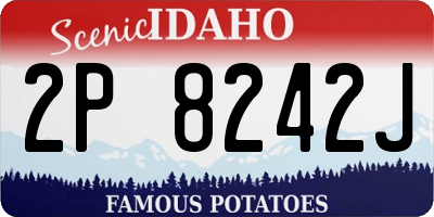 ID license plate 2P8242J