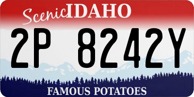 ID license plate 2P8242Y