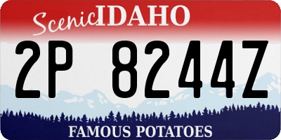 ID license plate 2P8244Z