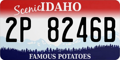 ID license plate 2P8246B