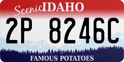 ID license plate 2P8246C