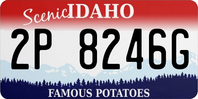 ID license plate 2P8246G
