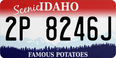 ID license plate 2P8246J