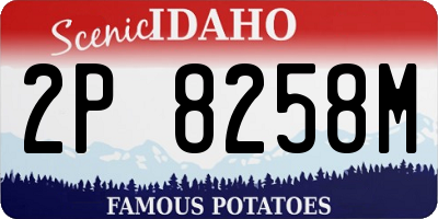 ID license plate 2P8258M