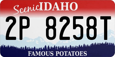 ID license plate 2P8258T