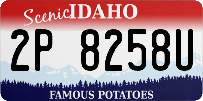 ID license plate 2P8258U