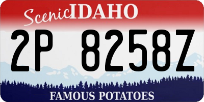 ID license plate 2P8258Z