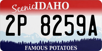 ID license plate 2P8259A
