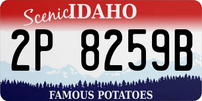ID license plate 2P8259B