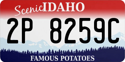 ID license plate 2P8259C