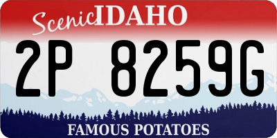 ID license plate 2P8259G