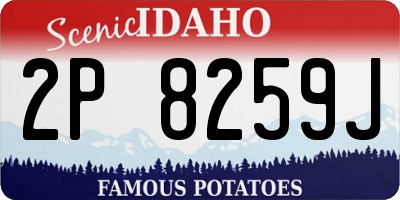 ID license plate 2P8259J