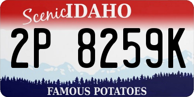 ID license plate 2P8259K