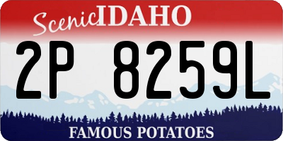 ID license plate 2P8259L