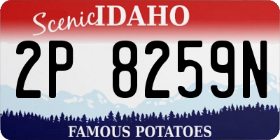 ID license plate 2P8259N
