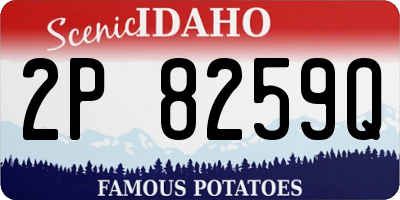 ID license plate 2P8259Q