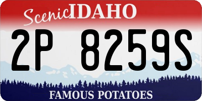 ID license plate 2P8259S