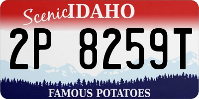 ID license plate 2P8259T