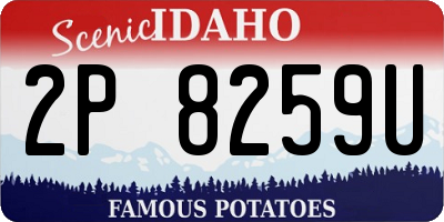 ID license plate 2P8259U