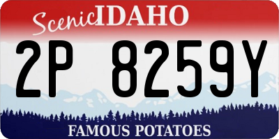 ID license plate 2P8259Y