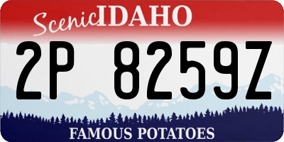 ID license plate 2P8259Z
