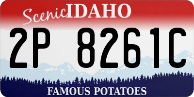 ID license plate 2P8261C