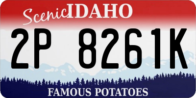 ID license plate 2P8261K