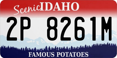 ID license plate 2P8261M