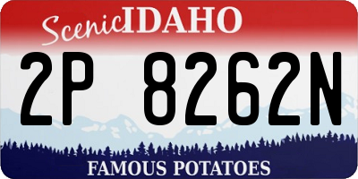 ID license plate 2P8262N