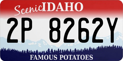 ID license plate 2P8262Y