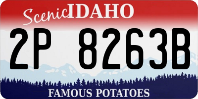 ID license plate 2P8263B