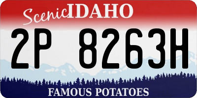 ID license plate 2P8263H