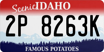 ID license plate 2P8263K