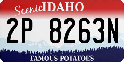 ID license plate 2P8263N