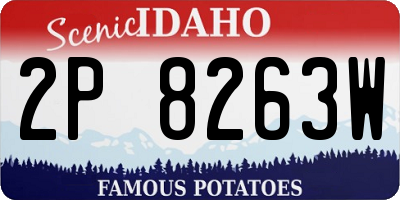 ID license plate 2P8263W