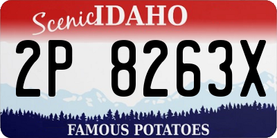 ID license plate 2P8263X