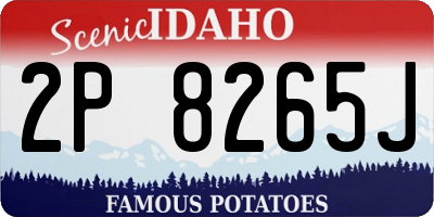 ID license plate 2P8265J