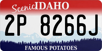 ID license plate 2P8266J