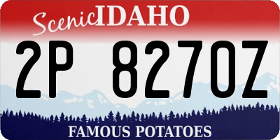 ID license plate 2P8270Z