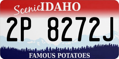 ID license plate 2P8272J