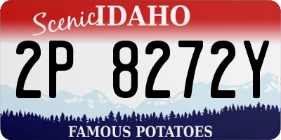 ID license plate 2P8272Y