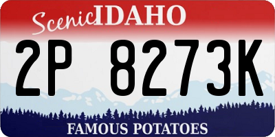 ID license plate 2P8273K