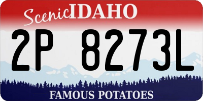 ID license plate 2P8273L