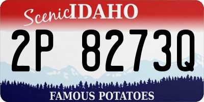 ID license plate 2P8273Q