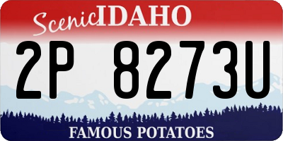 ID license plate 2P8273U