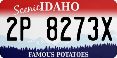 ID license plate 2P8273X