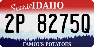 ID license plate 2P8275Q