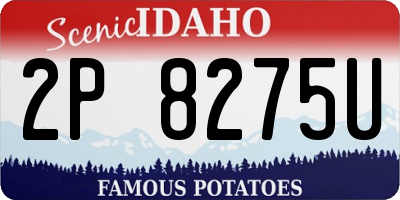 ID license plate 2P8275U
