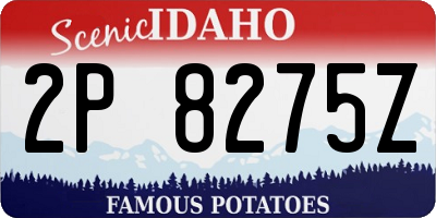 ID license plate 2P8275Z
