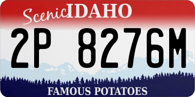 ID license plate 2P8276M